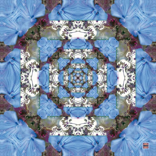 Foulard Bazaroïde